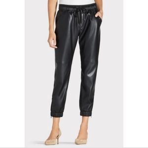 David Lerner Vegan Leather, Ankle Zip Joggers